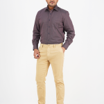 Men's Regular Fit Long Sleeve Check Box Formal Shirt (Premium)